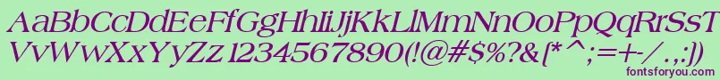 BroadsheetLdoBoldItalic Font – Purple Fonts on Green Background