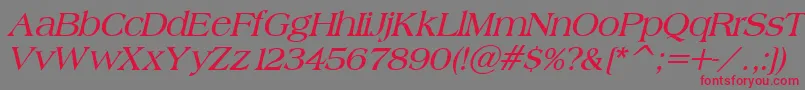 BroadsheetLdoBoldItalic Font – Red Fonts on Gray Background