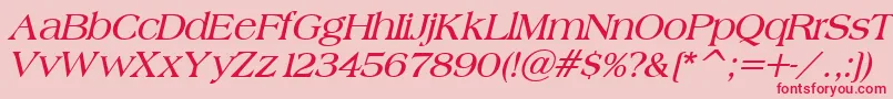 BroadsheetLdoBoldItalic Font – Red Fonts on Pink Background