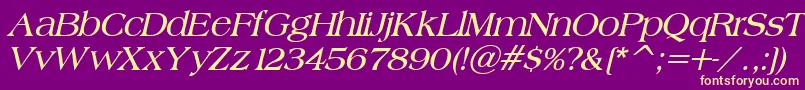 BroadsheetLdoBoldItalic Font – Yellow Fonts on Purple Background