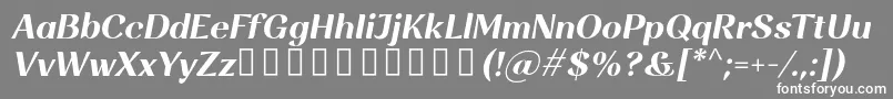 Rossanova BoldItalic Font – White Fonts on Gray Background