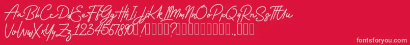 fuente Rossela Demo – Fuentes Rosadas Sobre Fondo Rojo