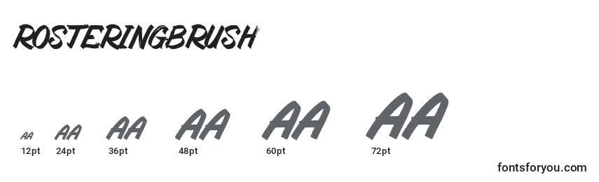 Размеры шрифта RosteringBrush