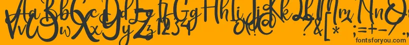 Rothena Font – Black Fonts on Orange Background