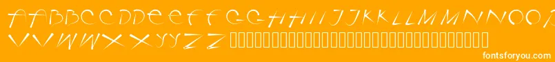 フォントRotorica – オレンジの背景に白い文字