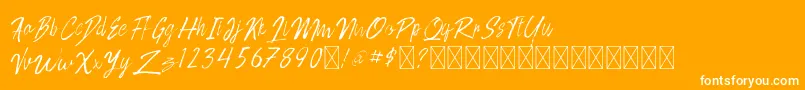 Rotove   Personal Use-Schriftart – Weiße Schriften auf orangefarbenem Hintergrund