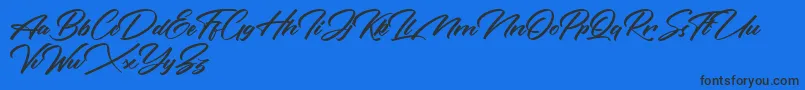 Rotterdalle Personal Use Only Font – Black Fonts on Blue Background