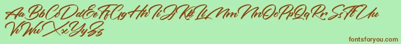 Rotterdalle Personal Use Only Font – Brown Fonts on Green Background