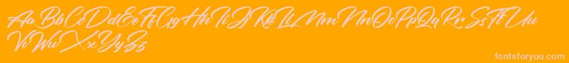 Rotterdalle Personal Use Only Font – Pink Fonts on Orange Background