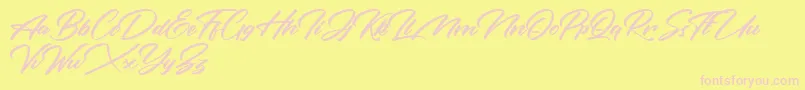 Rotterdalle Personal Use Only Font – Pink Fonts on Yellow Background