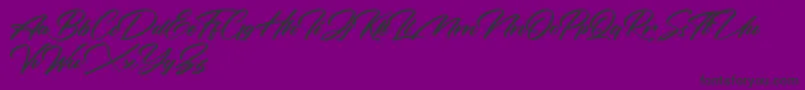 Rotterdalle Personal Use Only Font – Black Fonts on Purple Background