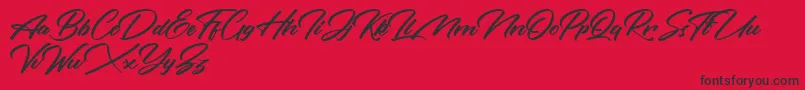 Rotterdalle Personal Use Only-Schriftart – Schwarze Schriften auf rotem Hintergrund