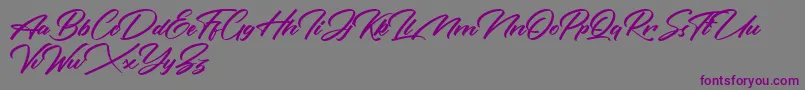 Rotterdalle Personal Use Only Font – Purple Fonts on Gray Background