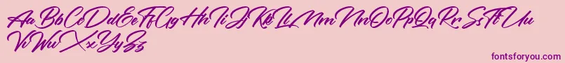 More about Rotterdalle Personal Use Only Font Rotterdalle Personal Use Only Font – Purple Fonts on Pink Background