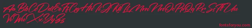 Rotterdalle Personal Use Only Font – Red Fonts on Black Background