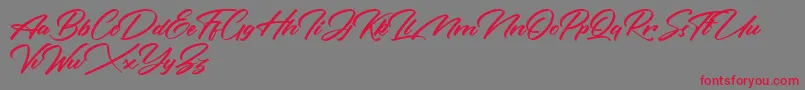 Rotterdalle Personal Use Only Font – Red Fonts on Gray Background
