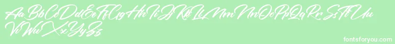Rotterdalle Personal Use Only Font – White Fonts on Green Background