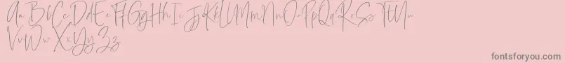 Rotterdam Demo Font – Gray Fonts on Pink Background