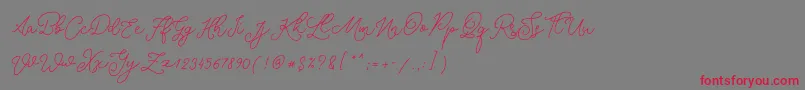 フォントRotters – 赤い文字の灰色の背景