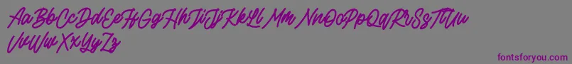 Rottordam Bold FREE Font – Purple Fonts on Gray Background