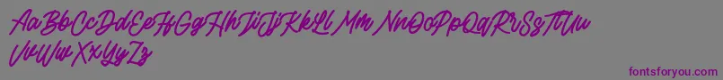 フォントRottordam Bold FREE – 紫色のフォント、灰色の背景