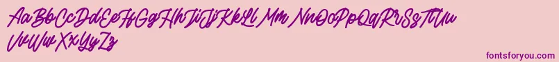Rottordam Bold FREE Font – Purple Fonts on Pink Background