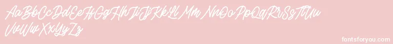 Rottordam FREE-Schriftart – Weiße Schriften auf rosa Hintergrund