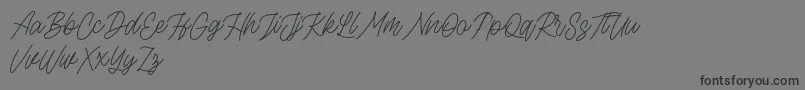 Rottordam Thin FREE Font – Black Fonts on Gray Background