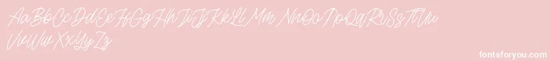 Rottordam Thin FREE Font – White Fonts on Pink Background