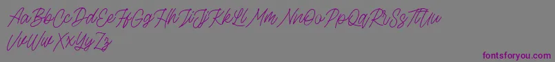 Rottordam Thin FREE-Schriftart – Violette Schriften auf grauem Hintergrund