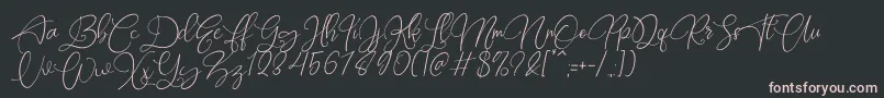 Rottrydam Wargna Personal Use Font – Pink Fonts on Black Background