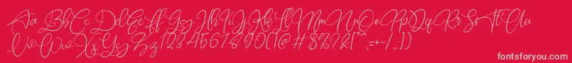 Rottrydam Wargna Personal Use Font – Pink Fonts on Red Background