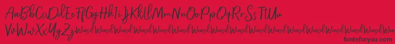 Roullet Demo Font-Schriftart – Schwarze Schriften auf rotem Hintergrund