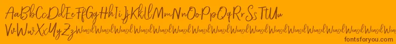 Roullet Demo Font Font – Brown Fonts on Orange Background