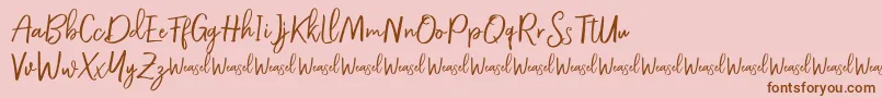 Fonte Roullet Demo Font – fontes marrons em um fundo rosa