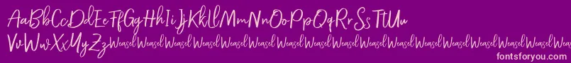 Saiba mais sobre a fonte Roullet Demo Font Fonte Roullet Demo Font – fontes rosa em um fundo violeta