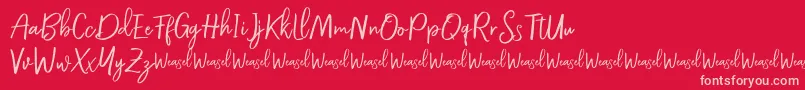 Шрифт Roullet Demo Font – розовые шрифты на красном фоне