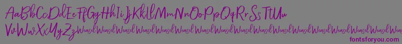 フォントRoullet Demo Font – 紫色のフォント、灰色の背景