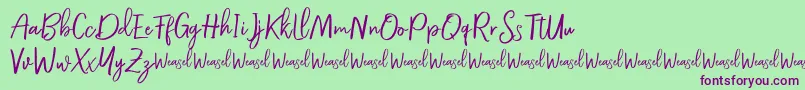 Roullet Demo Font Font – Purple Fonts on Green Background