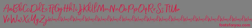 Roullet Demo Font-fontti – punaiset fontit harmaalla taustalla