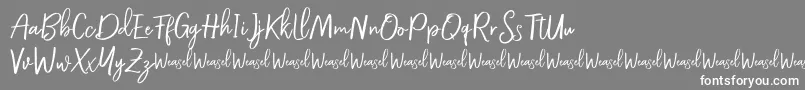 フォントRoullet Demo Font – 灰色の背景に白い文字