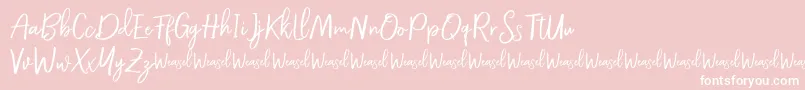 Más sobre la fuente Roullet Demo Font fuente Roullet Demo Font – Fuentes Blancas Sobre Fondo Rosa