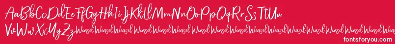 Roullet Demo Font Font – White Fonts on Red Background