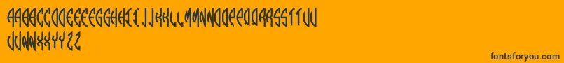 Round Monogram Left Font – Black Fonts on Orange Background