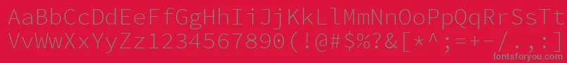 フォントSourcecodeproLight – 赤い背景に灰色の文字
