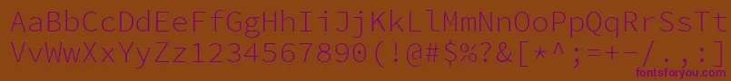 SourcecodeproLight Font – Purple Fonts on Brown Background