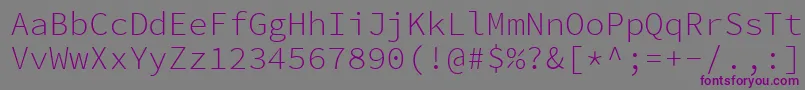 フォントSourcecodeproLight – 紫色のフォント、灰色の背景