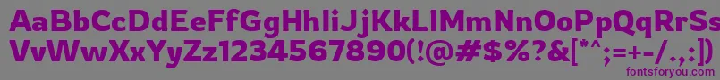 Rowdy Regular Font – Purple Fonts on Gray Background