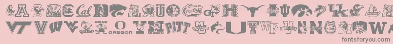 Weitere Informationen zur Collegecollage-Schriftart Collegecollage-Schriftart – Graue Schriften auf rosa Hintergrund