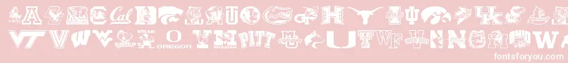 Weitere Informationen zur Collegecollage-Schriftart Collegecollage-Schriftart – Weiße Schriften auf rosa Hintergrund